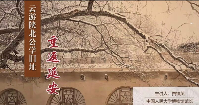 狗万