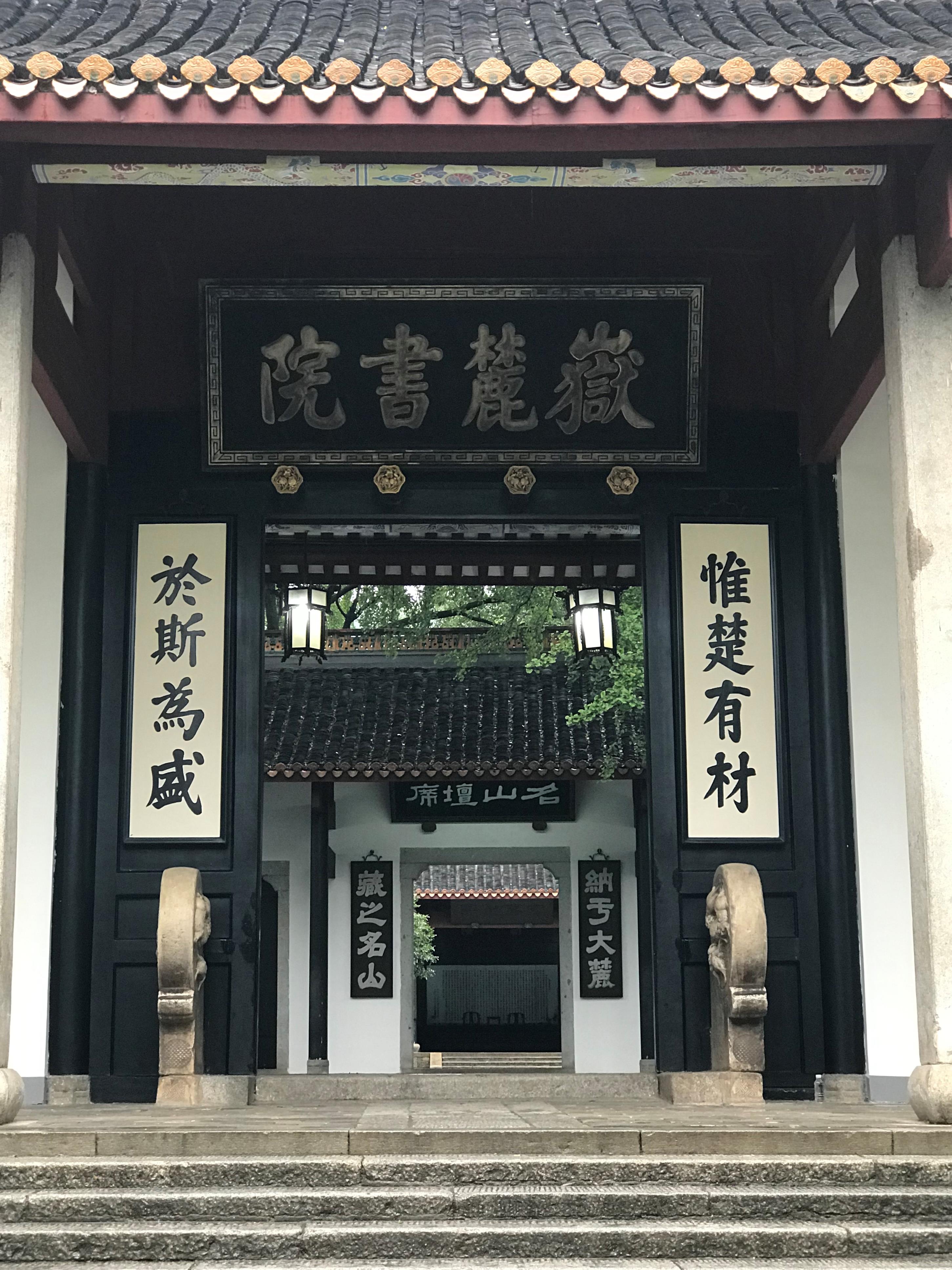 狗万