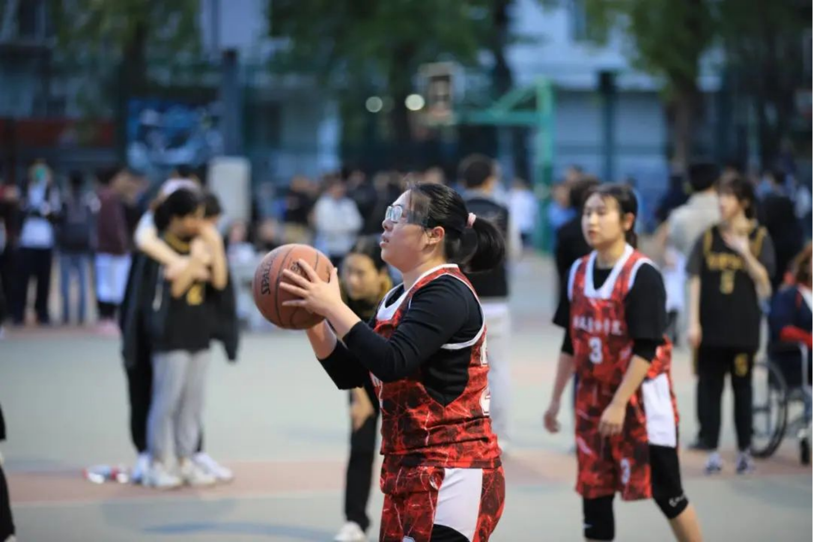 狗万