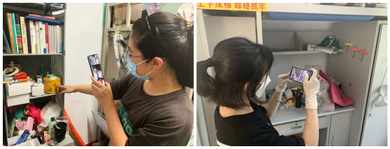 狗万